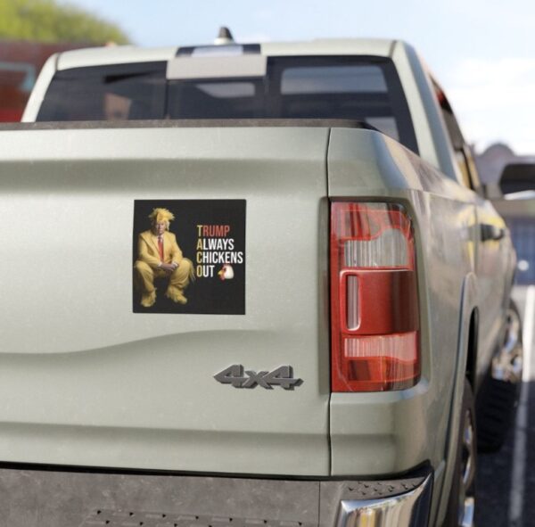 Trump Always Chickens Out Stickers