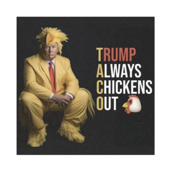 Trump Always Chickens Out Stickers