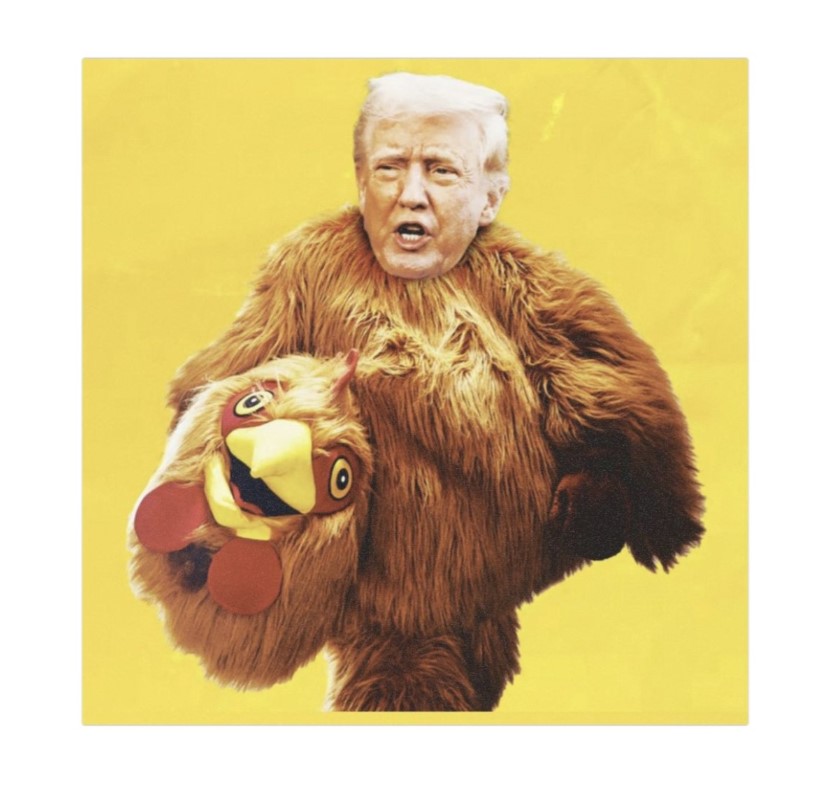 Trump Always Chickens Out Car Magnet – Stickers